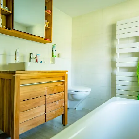 Alpehytte La Regin Anzère